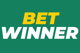 Explore BetWinner Mobile Casino Elevate Your Gaming Experience
