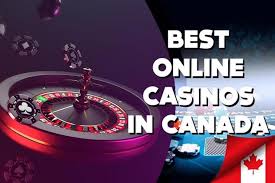 What is the Safest Online Environment for Users